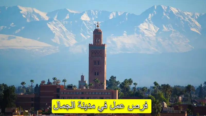 البحث عن عمل في مراكش