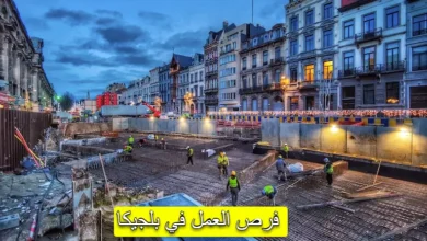 العمل في بلجيكا