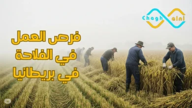 فرص العمل في الفلاحة في بريطانيا