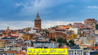 العمل في تركيا