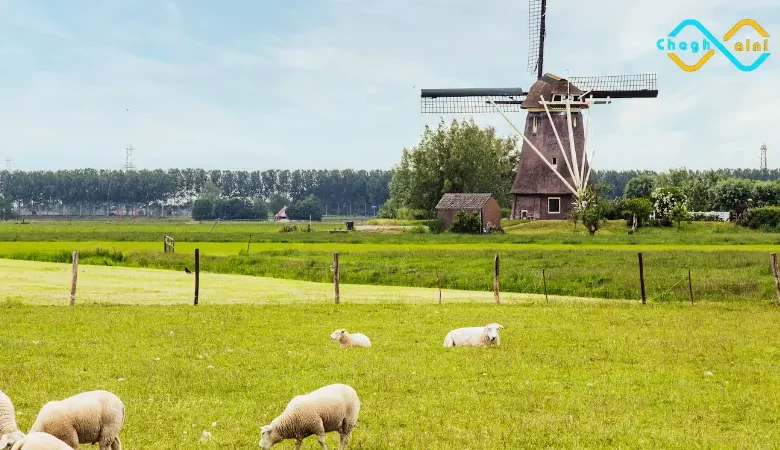 العمل في الفلاحة في هولندا