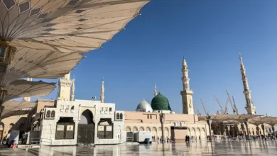العمل في الخليج