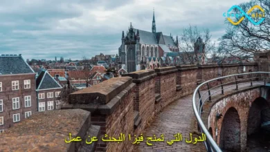 فيزا البحث عن عمل في هولندا