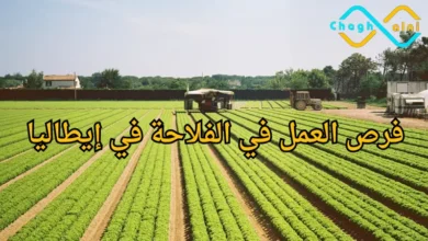 العمل في الفلاحة في إيطاليا