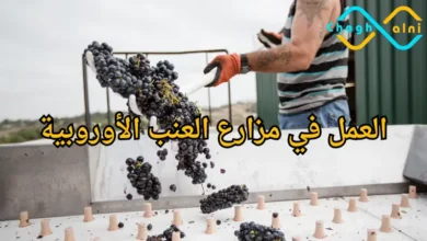 العمل في أوروبا