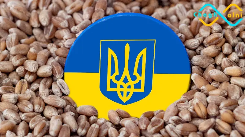 قمح أوكرانيا