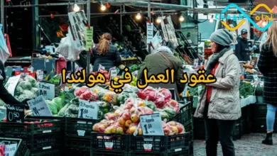 العمل في دولة هولندا
