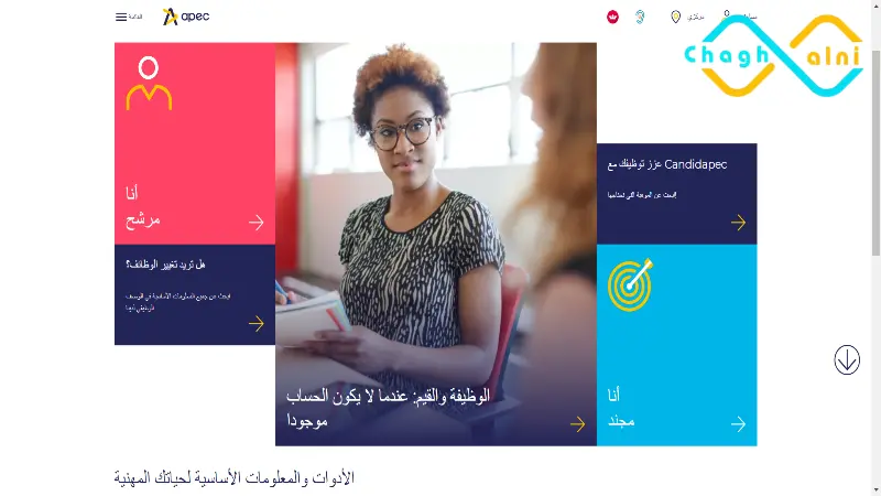 وكالات التوظيف في فرنسا