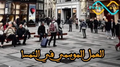 فرص العمل الموسمي في النمسا