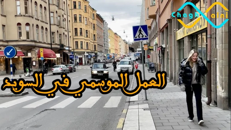 العمل الموسمي في السويد