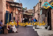 شركات مغربية بالباك