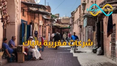 شركات مغربية بالباك