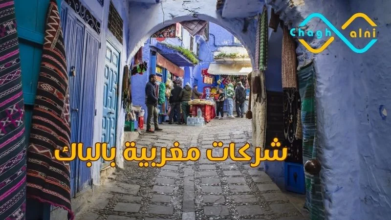 شركات مغربية بالباك