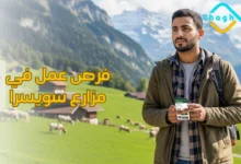 فرص عمل في مزارع سويسرا