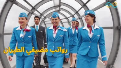 رواتب مضيفي الطيران