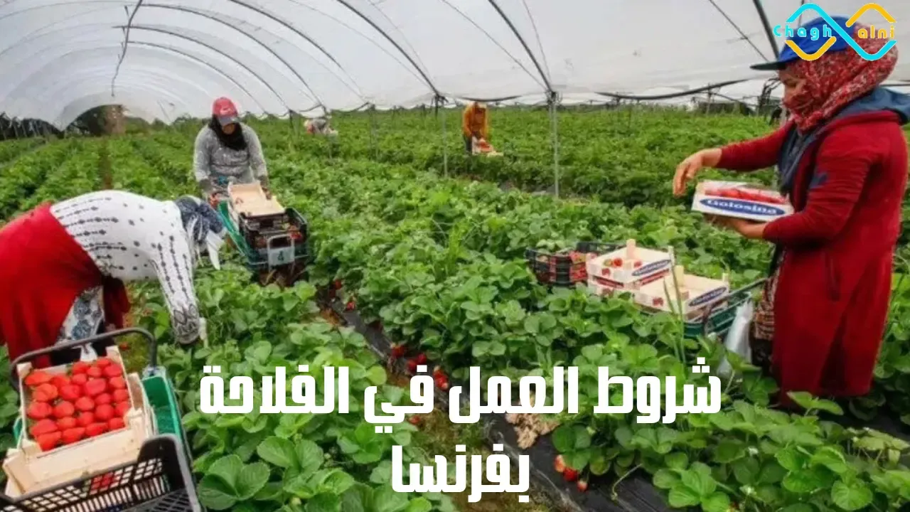 شروط العمل في الفلاحة بفرنسا