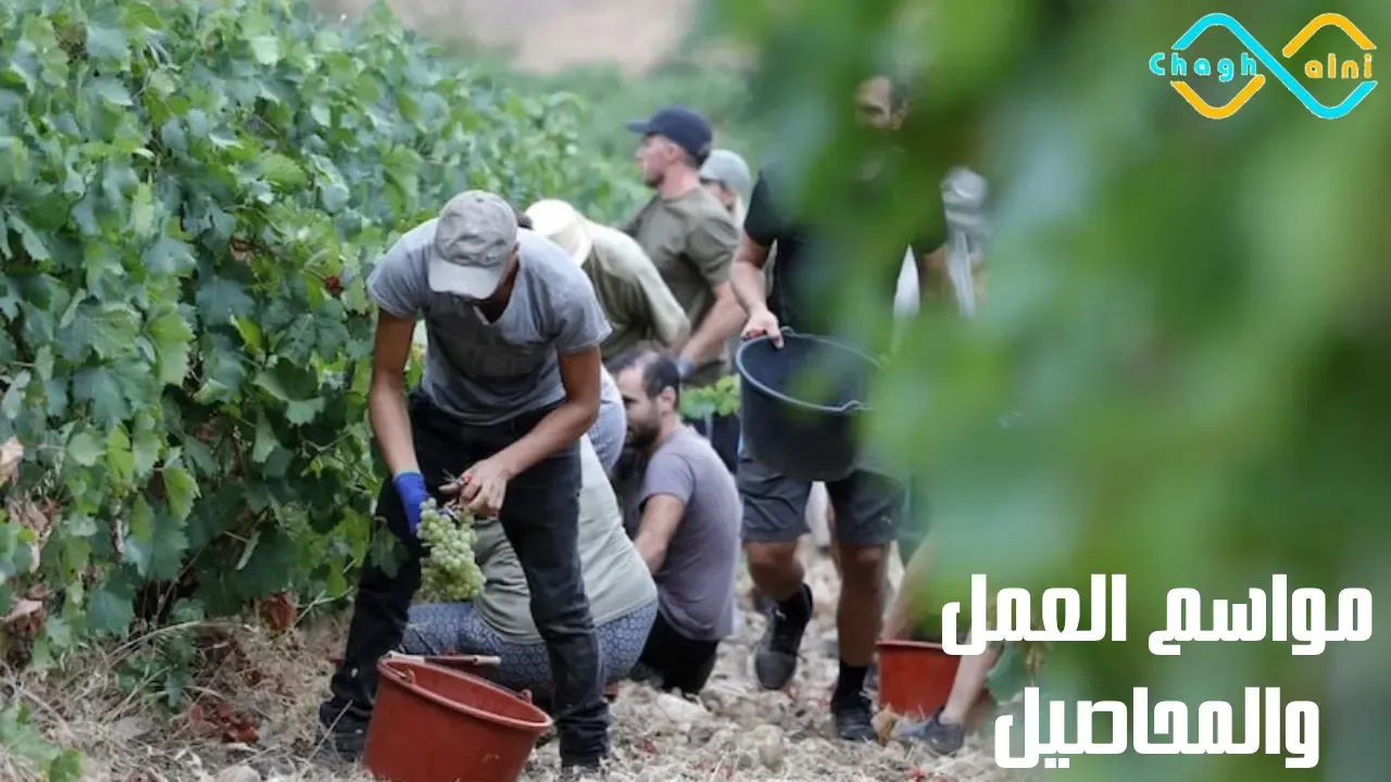 مواسم العمل والمحاصيل