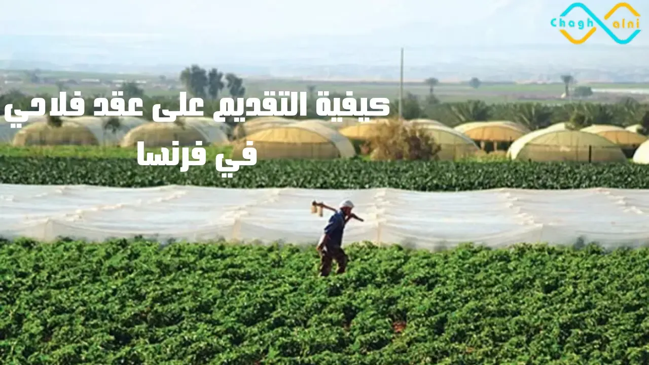 كيفية التقديم على عقد فلاحي في فرنسا
