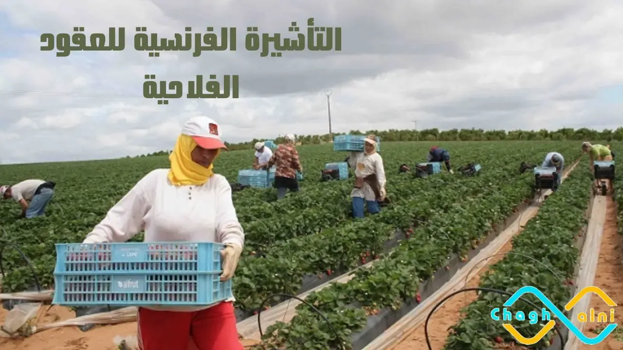 التأشيرة الفرنسية للعقود الفلاحية