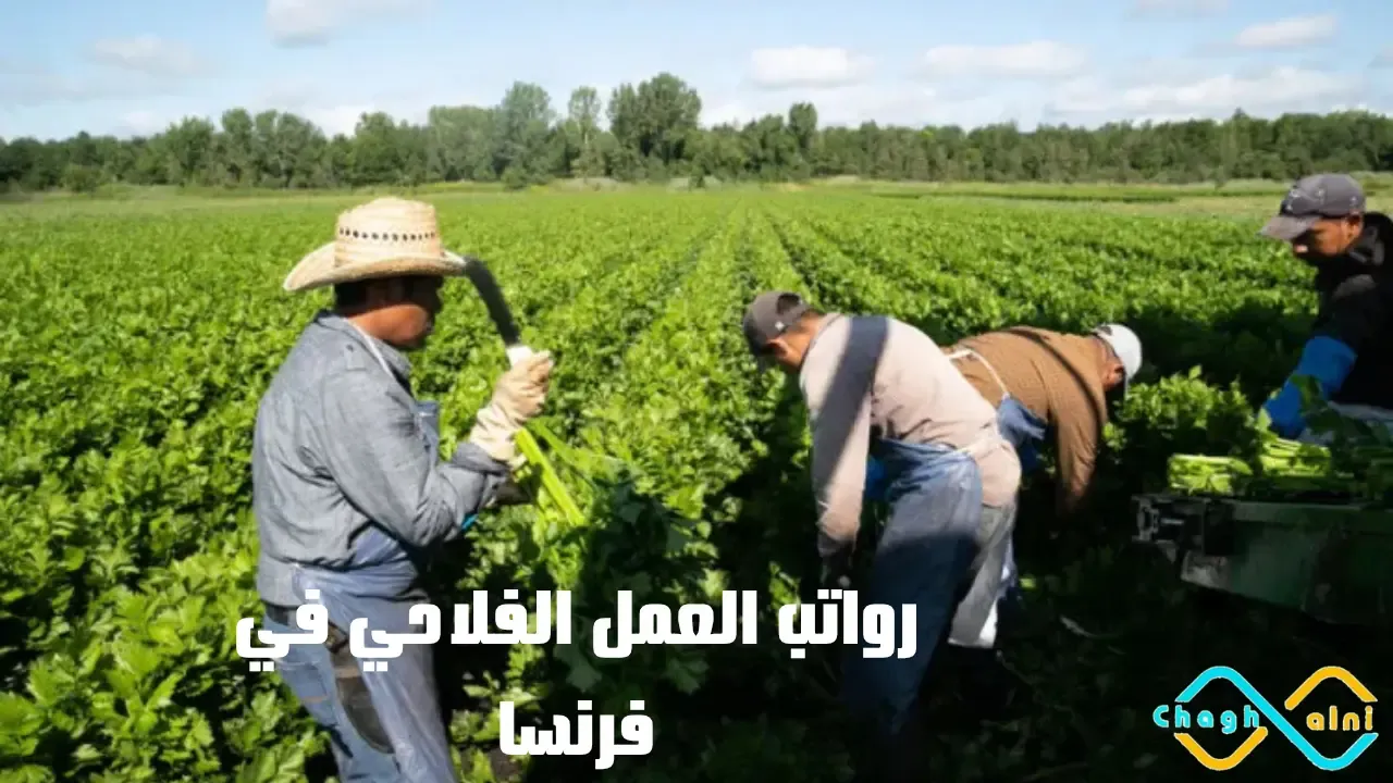 رواتب العمل الفلاحي في فرنسا