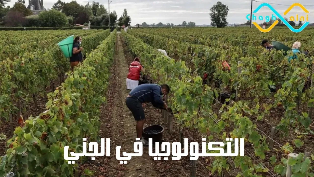 التكنولوجيا في الجني