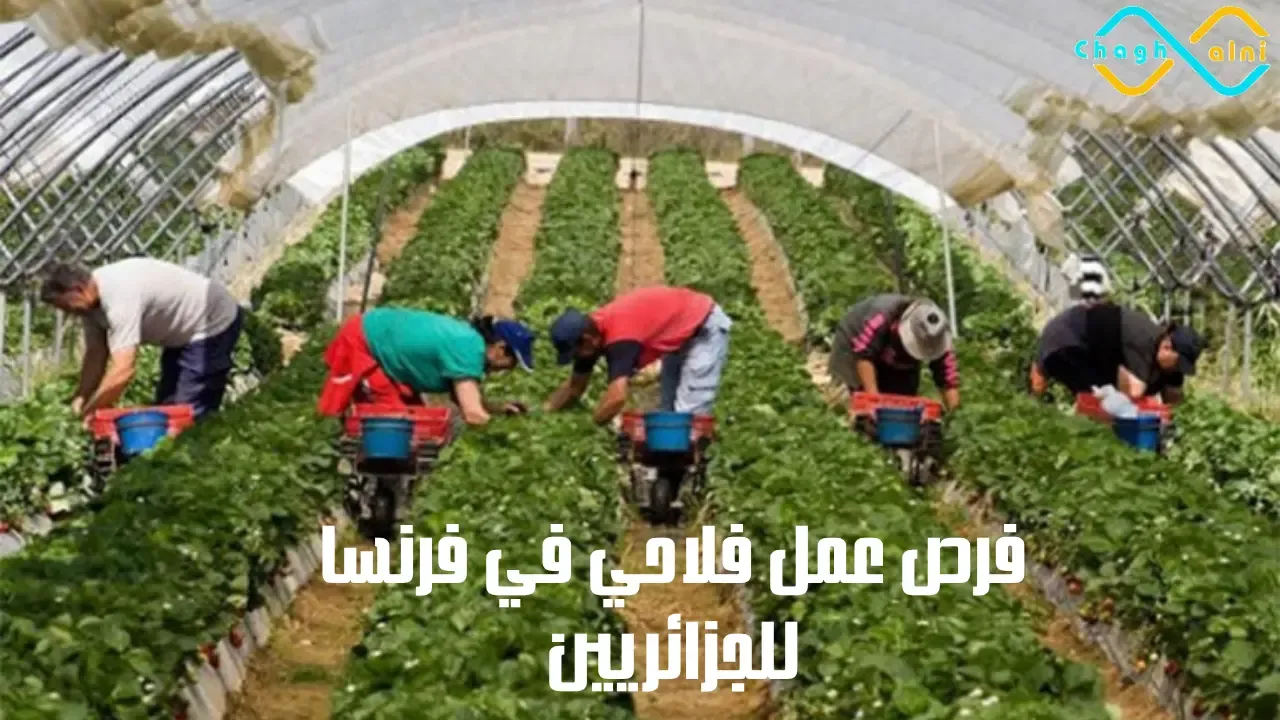 فرص العمل الفلاحي في فرنسا للجزائريين