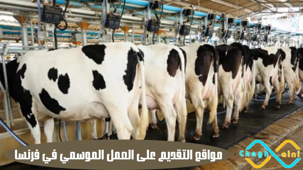 مواقع التقديم على العمل الموسمي في فرنسا