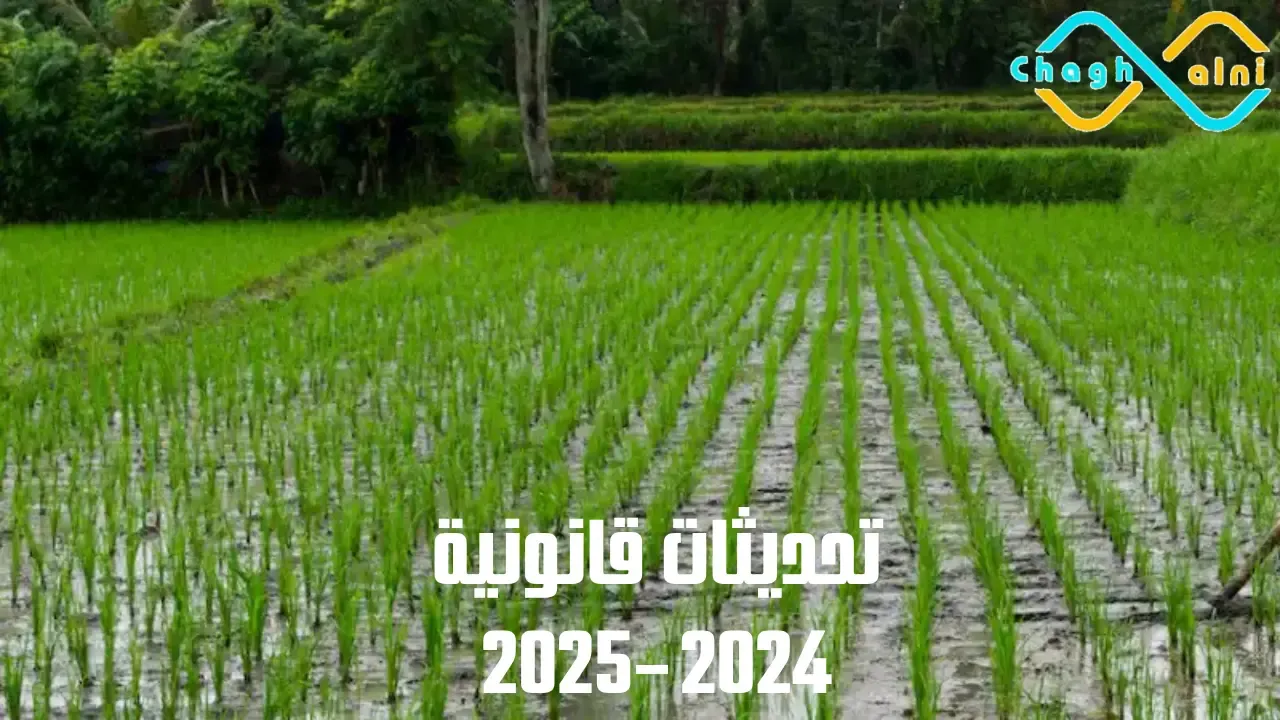 تحديثات قانونية 2024–2025