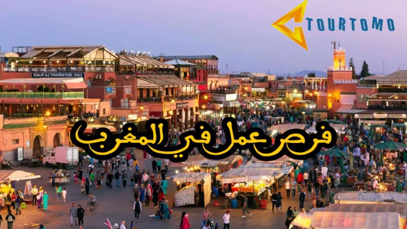 فرص عمل في المغرب