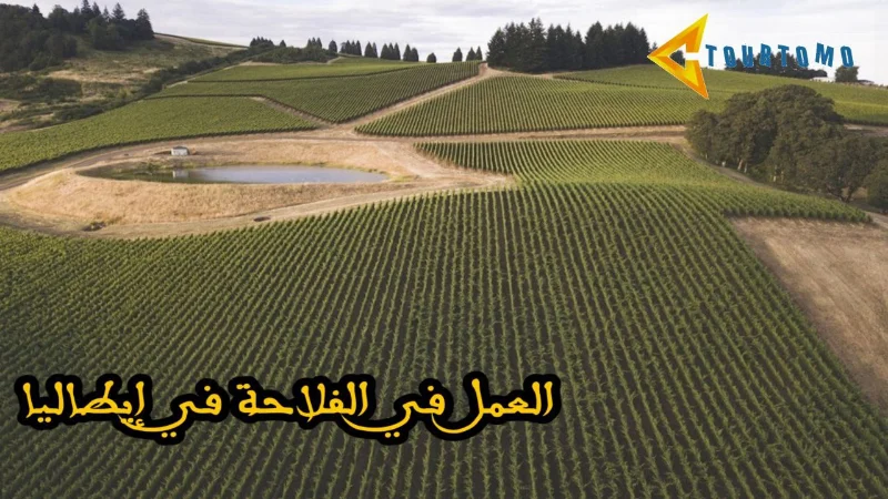 العمل في الفلاحة في إيطاليا