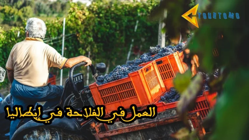 العمل في الفلاحة في إيطاليا