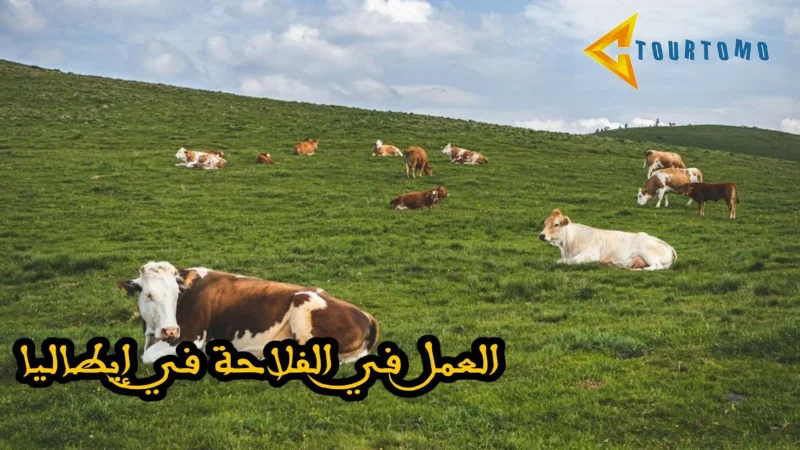 العمل في الفلاحة في إيطاليا