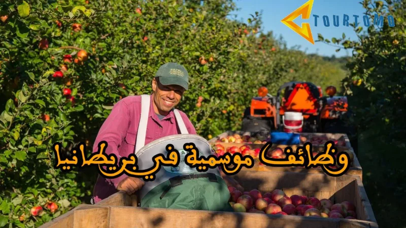 وظائف موسمية في بريطانيا