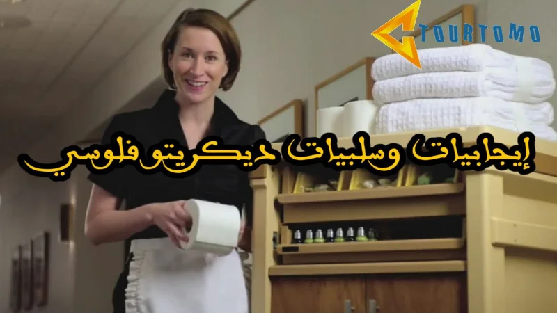 إيجابيات وسلبيات ديكريتو فلوسي