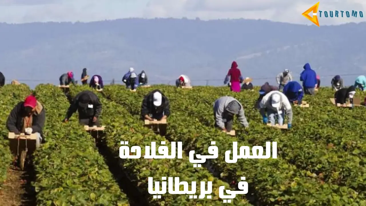 العمل في الفلاحة في بريطانيا