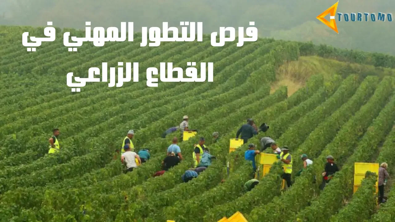 فرص التطور المهني في القطاع الزراعي
