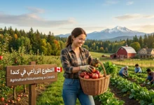 التطوع الفلاحي في كندا
